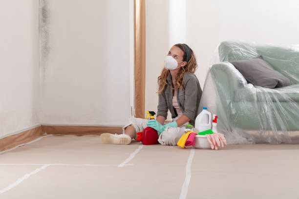 Reliable Mold Inspection contractor in Millington, MI by WQB Mold Removal
